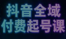 泽泽子·26年下半年年抖音全域付费起号课
