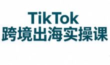 彭老师·TikTok跨境出海实操课