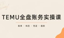 TEMU全盘账务实操课：账单导出、科目设置、利润核算