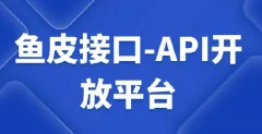 鱼皮接口-API开放平台视频课程