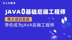 【金牌大课】马老师 Java零基础后端工程师(P5)