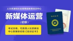 馒头新媒体运营证书班(完结)