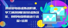 拼多多电商虚拟进阶课,学习高利润的多多虚拟玩法,利用电商思维进行选品+运营