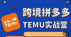大鹏出海·拼多多跨境temu运营指导,开店注册+选品+核价上架,日出千单实战课