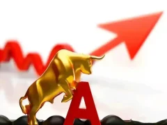 炒股,从右到左:少数人养成记- 火烈鸟