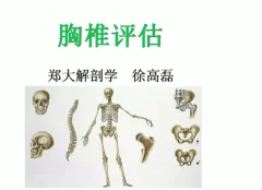 郑大解剖学人体姿势评估与解剖学分析(进阶)徐高磊