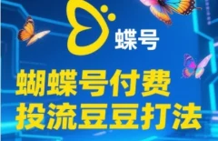 2025蝴蝶号付费投流豆豆打法,助新手快速掌握付费流量撬动自然流的核心玩法