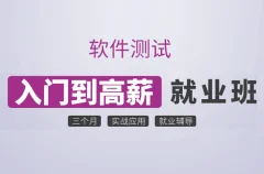 沽泡-P4软件测试零基础入门(基础班)价值3800元-完结无秘