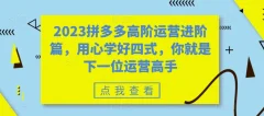 2023拼多多高阶运营进阶篇,用心学好四式,你就是下一位运营高手