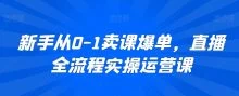 新手从0-1卖课爆单直播全流程运营课