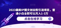 2023最新IP图文创业粉引流项目,普通小白全职可以月入1-3万