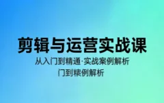 林大剪辑与运营实战课(更新2026)