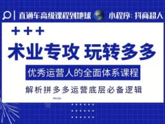 术业专攻玩转多多,优秀运营人的全面体系课程,解析拼多多运营底层必备逻辑