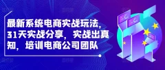 最新系统电商实战玩法,31天实战分享,实战出真知,培训电商公司团队