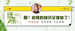 李越·绿茶线上课【完结】