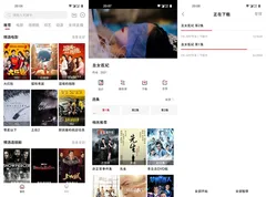 安卓大师兄影视影院v4.0.6超清4K画质破解VIP会员解锁版