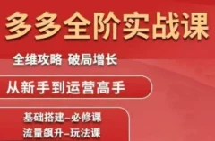 大炮·拼多多全阶实战课程(更新2026)