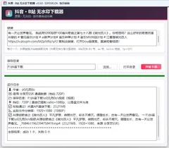 抖音.B站全网短视频无水印高清画质下载器v1.3.0+网页版