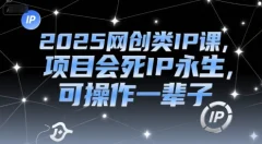 2025网创类IP课,项目会死IP永生可操作一辈子