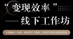 变现效率线下工作坊,从播直间、私域、视短频个三维度,升级IP和团队变现效率
