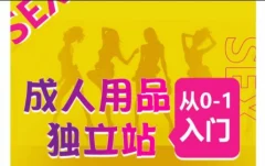 成人用品独立站从0-1入门,成品独立站运营全流程教学,七大好卖成品独立站推荐
