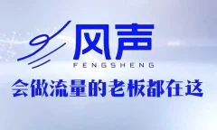 董十一·风声短视频AI获客年度会员
