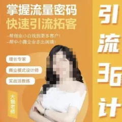 大猫·引流36计掌握流量密码快速引流课