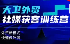 大卫老师·外贸社媒获客独家训练营(更新8月)