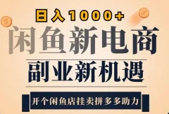 2024闲鱼虚拟升级玩法,实操落地项目,日入几张