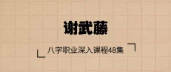 谢武藤-八字职业深入课程48集+讲义