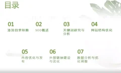 六大章节网络营销与推广课程(SEO、SEM、社会化营销、推广、新媒体运营、电商)全套下载