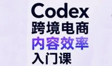 Codex跨境电商内容效率入门课