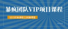 暴疯团队VIP赚钱项目教程之(SEO实操课程之网赚博客)