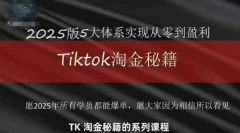 TikTok跨境2025淘金秘籍,2025TikTok从0到盈利变现
