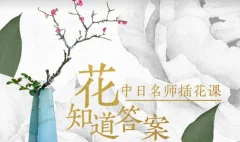 插花教程 解析插花全步骤,了解插花全过程