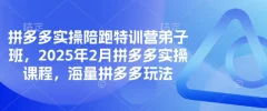 拼多多实操陪跑特训营弟子班,2025年2月拼多多实操课程,海量拼多多玩法