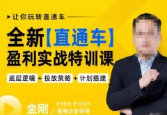 玺承·全新直通车盈利实战特训课,从底层逻辑详细拆解,从底层,策略到搭建,让你玩转直通车
