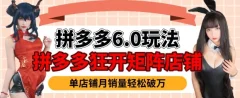 拼多多虚拟商品暴利6.0玩法,轻松实现月入过W