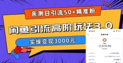 日引50+精准粉,闲鱼引流高阶玩法3.0,实操变现3000元【揭秘】