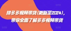 拼多多视频带货(更新至2024),带你全面了解多多视频带货