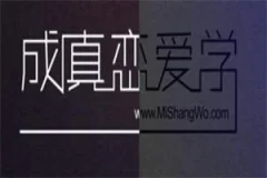 成真恋爱学教程全集