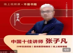 张子凡·20年实战经验,揭秘营销背后的底层逻辑,突破思维局限,从根本上破解营销难题