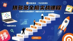 大炮·拼多多全阶实战课程,从新手小白到运营高手,海量实战玩法+全年实时更新【2025年10月更新】