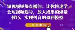 短视频锤爆直播间:让你快速学会短视频起号,放大成果的爆量技巧,实现抖音的盈利模型