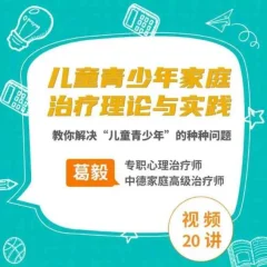 葛毅家庭治疗下的儿童青少年,教你解决“儿童青少年”的种种问题