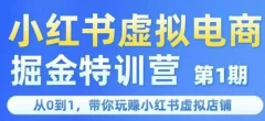 锋声小红书虚拟电商掘金特训营第1期,从0到1,带你玩转小红书虚拟店铺