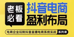 老板必看-抖音电商盈利布局,公开揭秘抖音电商全域布局打法