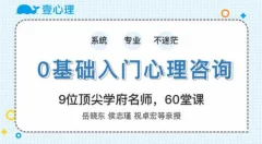 零基础入门心理咨询师 60堂启蒙课领你进入心理咨询的大门