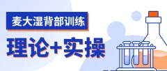 麦大湿背部训练视频课程(理论+实操计划)