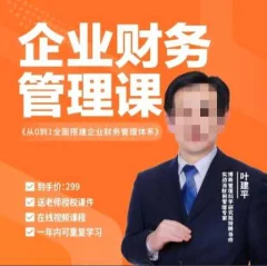 叶建平:从0到1全面搭建企业财务管理体系299元